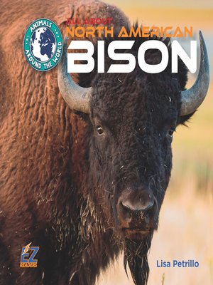 cover image of All About North American Bison